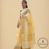 Linen Tissue Saree