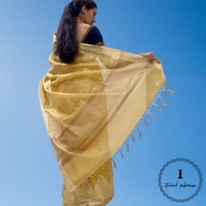 Linen Tissue saree