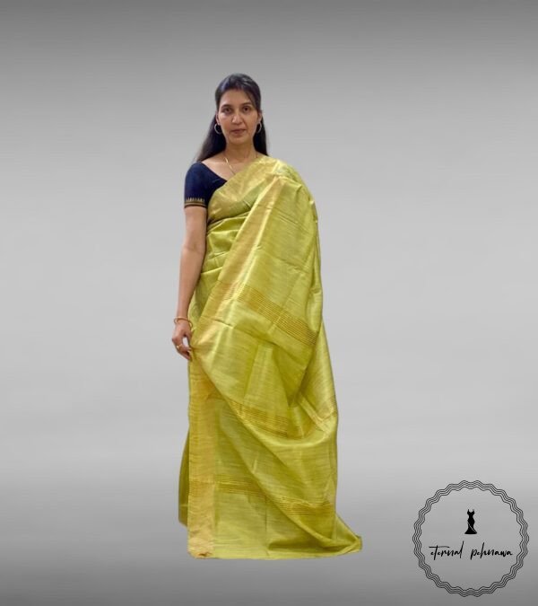 Baswara Silk Saree