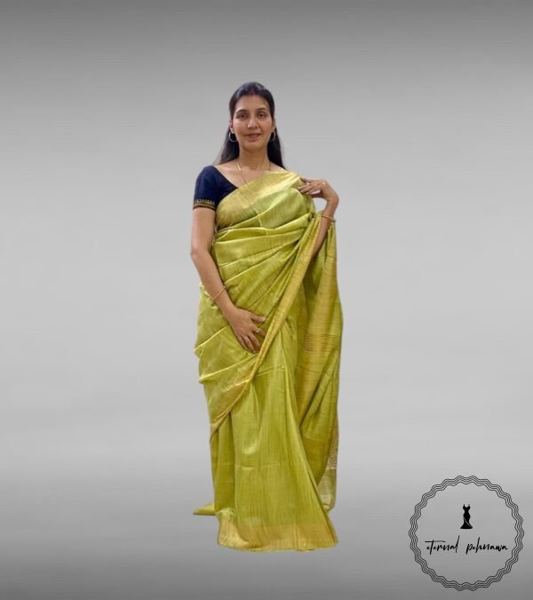 Baswara Silk Saree