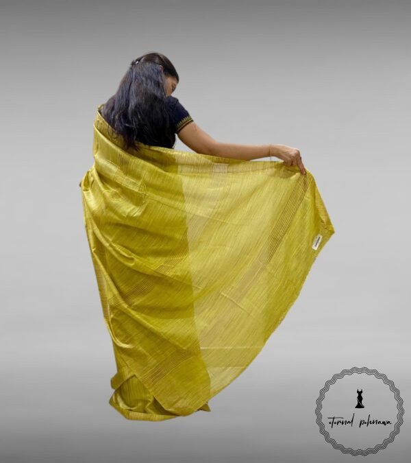 Baswara Silk Saree