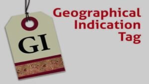 GI tag