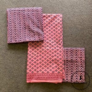 Bagh Print Suit