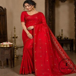Embroidered Chhattisgarh Tribal Art Semi Tussar Silk Saree
